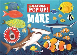 MARE