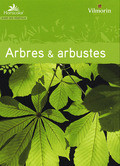 ALBERI & ARBUSTI
