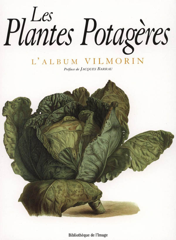 LES PLANTES POTAGERES