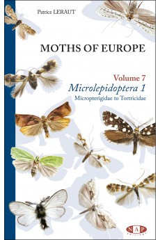 MOTHS OF EUROPE VOLUME 7