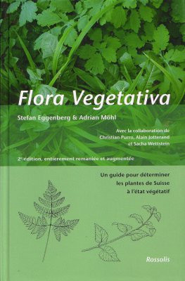 FLORA VEGETATIVA