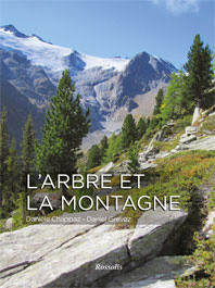L ARBRE ET LA MONTAGNE