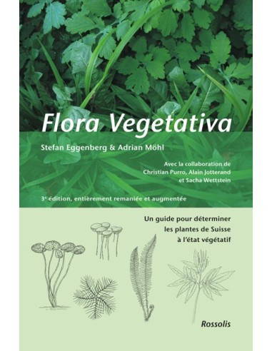 FLORA VEGETATIVA