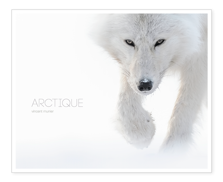 ARCTIQUE