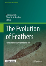 THE EVOLUTION OF FEATHERS