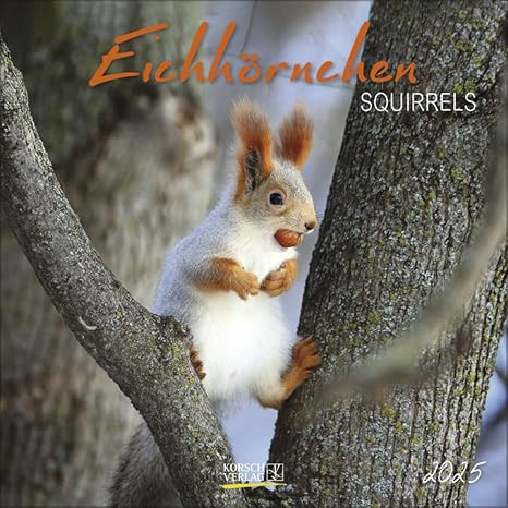 EICHHORNCHEN SQUIRRELS 2025