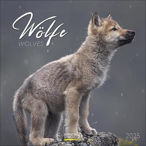 WOLFE 2025