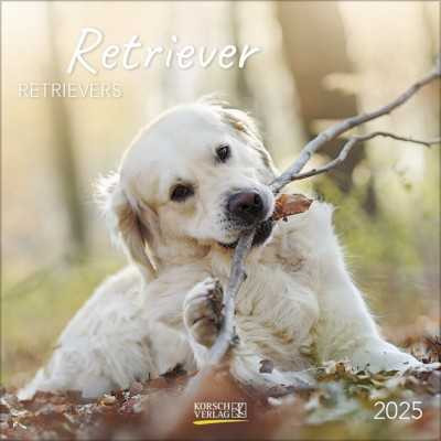 RETRIEVER 2025