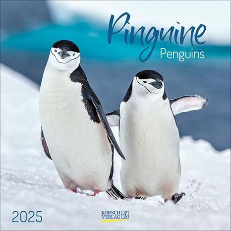PINGUINE PENGUINS  2025