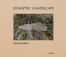 SYNAPTIC LANDSCAPE