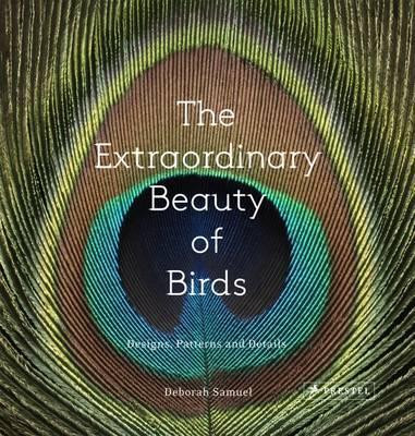 THE EXTRAORDINARY BEAUTY OF BIRDS