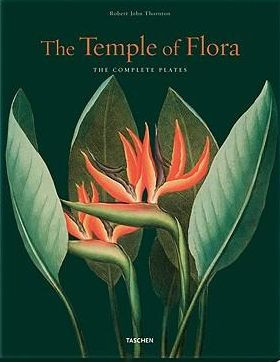 TEMPLE OF THE FLORA