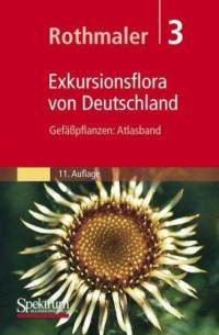 EXKURSIONSFLORA VON DEUTSCHLAND, BAND 3: GEFÄSSPFLANZEN: ATLASBAND