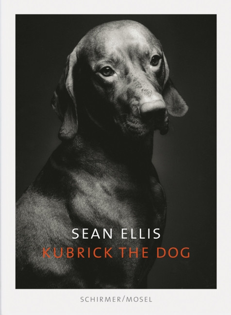 KUBRICK THE DOG