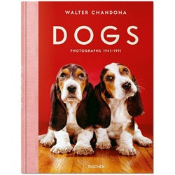 DOGS