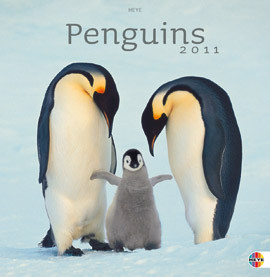PENGUINS 2011