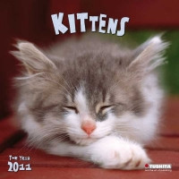 KITTENS 2011