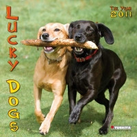 LUCKY DOGS 2011