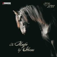 THE MAGIC OF HORSES 2011