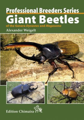 GIANT BEETLES