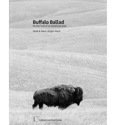 BUFFALO BALLAD