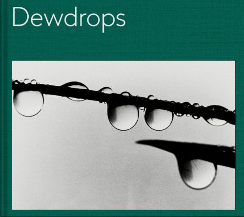 DEWDROPS