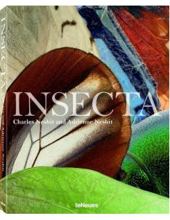 INSECTA