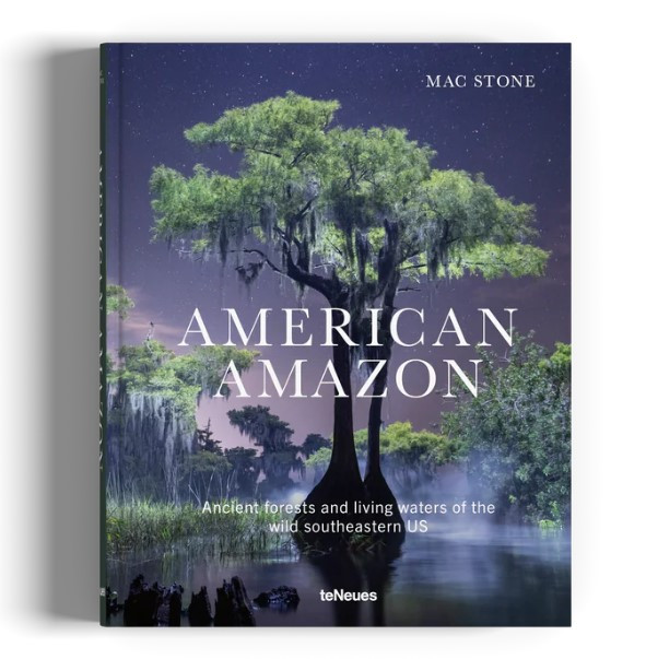 AMERICAN AMAZON