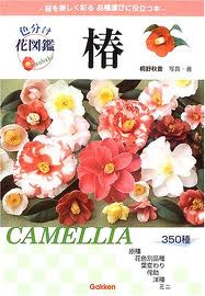 CAMELLIA