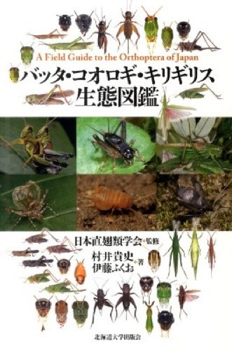 A FIELD GUIDE TO THE ORTHOPTERA OF JAPAN