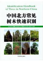 QUICKLY IDENTIFY COMMON TREES IN NORTHERN CHINA