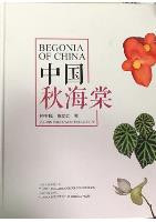 BEGONIA OF CHINA