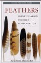 FEATHERS IDENTIFICATION FOR BIRD CONSERVATION