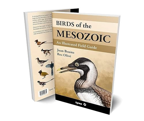 BIRDS OF THE MESOZOIC
