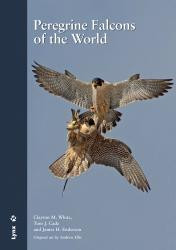 PEREGRINE FALCONS OF THE WORLD