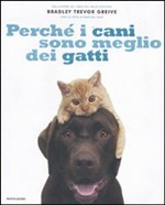 PERCHE I CANI SONO MEGLIO DEI GATTI