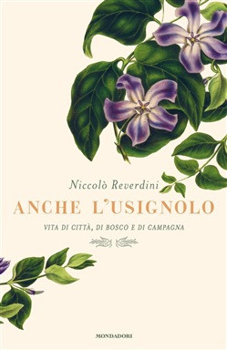ANCHE L USIGNOLO