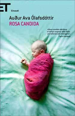 ROSA CANDIDA
