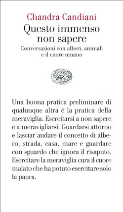 QUESTO IMMENSO NON SAPERE