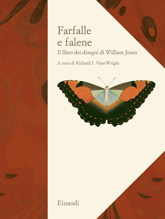 FARFALLE E FALENE