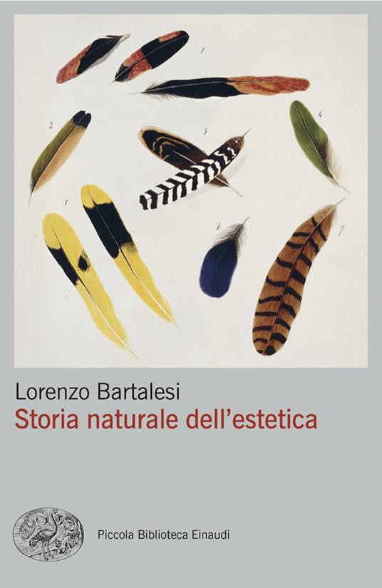 STORIA NATURALE DELL ESTETICA