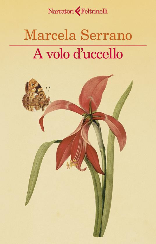 A VOLO D UCCELLO