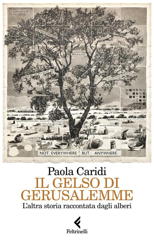 IL GELSO DI GERUSALEMME