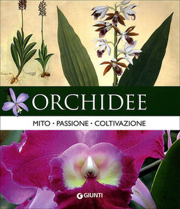 ORCHIDEE