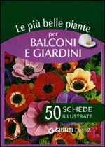 LE PIU BELLE PIANTE PER BALCONI E GIARDINI