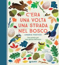 C ERA UNA VOLTA UNA STRADA NEL BOSCO