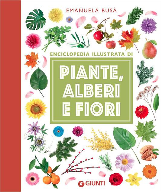 ENCICLOPEDIA ILLUSTRATA DI PIANTE ALBERI E FIORI