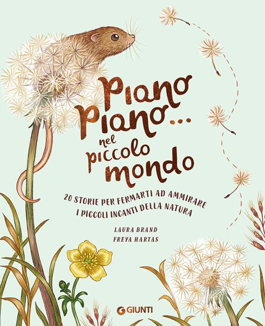 PIANO PIANO NEL PICCOLO MONDO