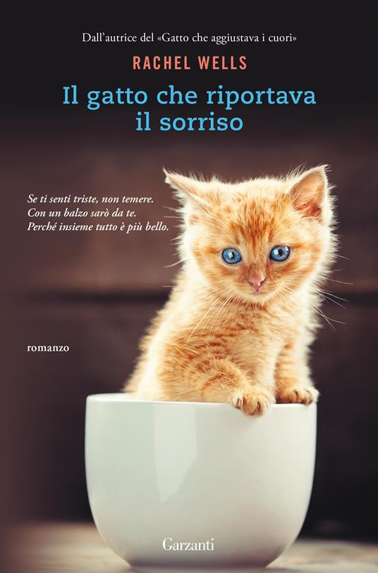 IL GATTO CHE RIPORTAVA IL SORRISO