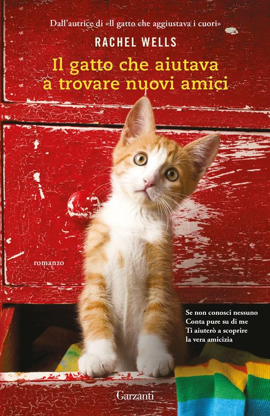 IL GATTO CHE AIUTAVA A TROVARE NUOVI AMICI